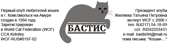 Логотип компании Бастис